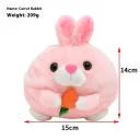 Radish Rabbit