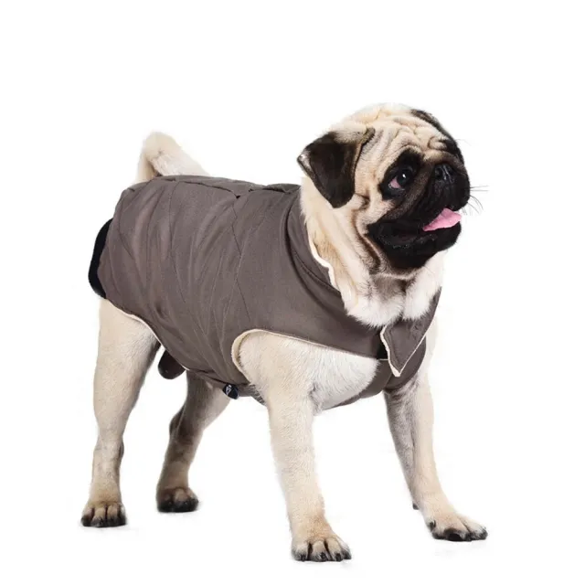 Cotton coat vest dog clothes Grey - Shop at LoveMi