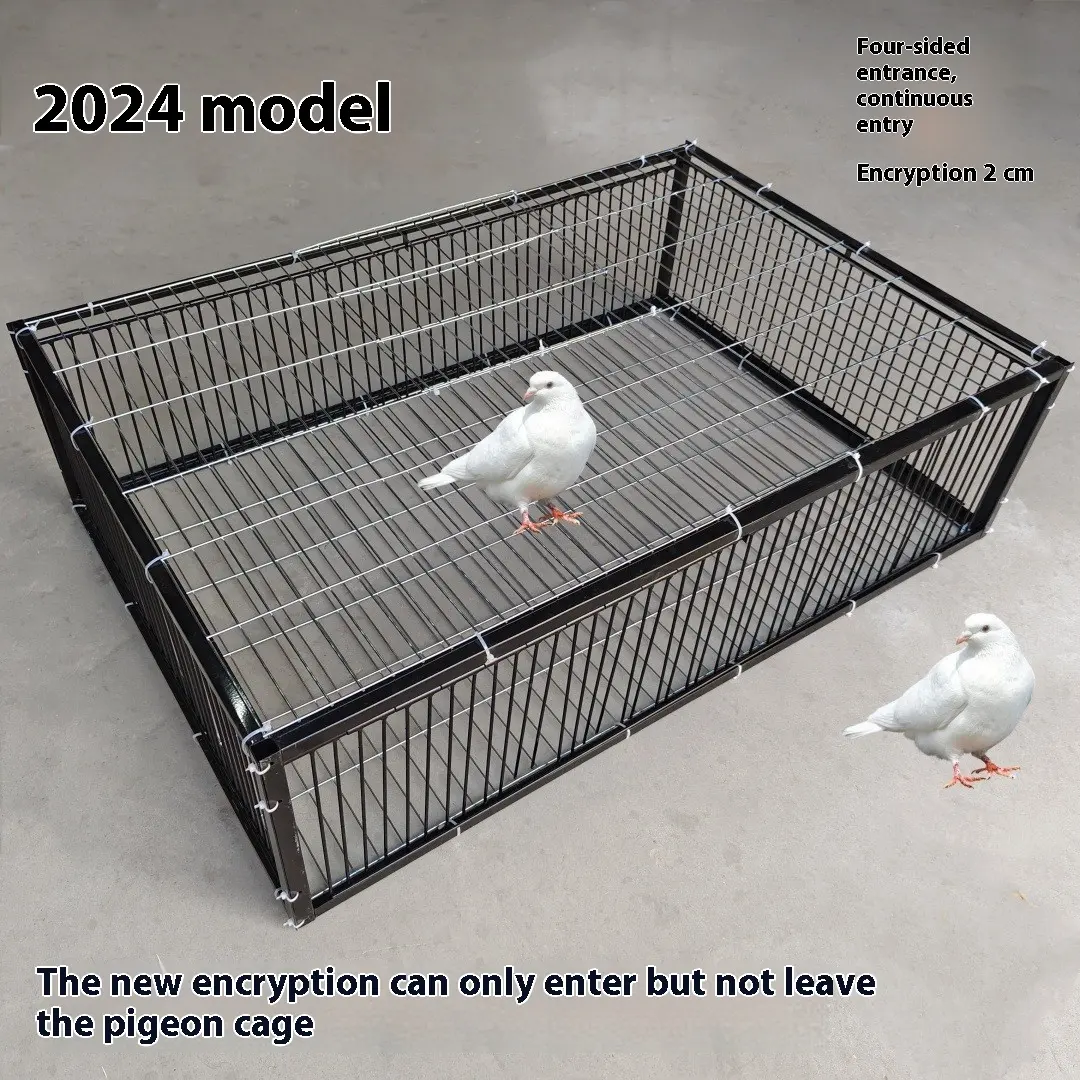 Outdoor Household Roof Only-in-no-out Pigoen Cage