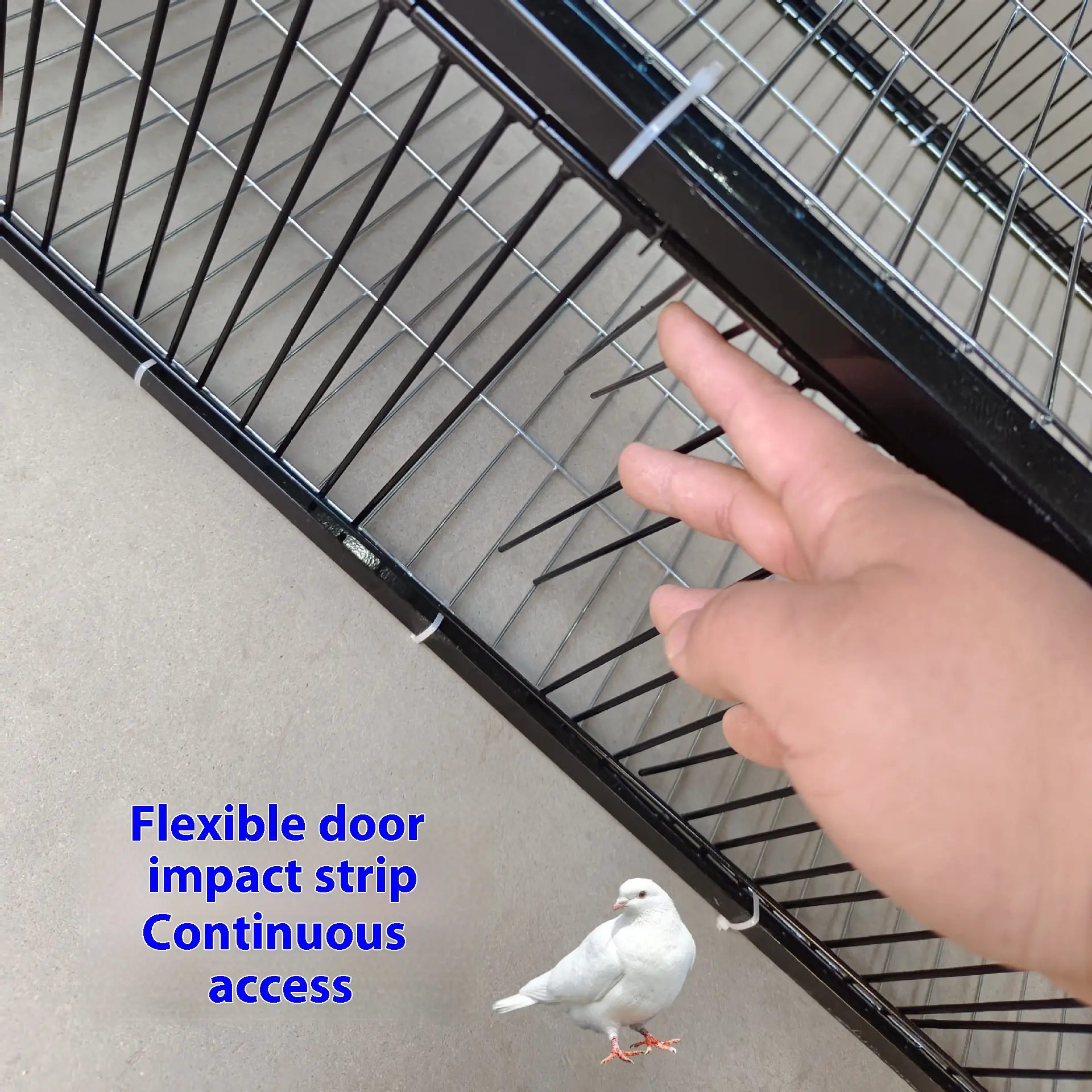 Outdoor Household Roof Only-in-no-out Pigoen Cage