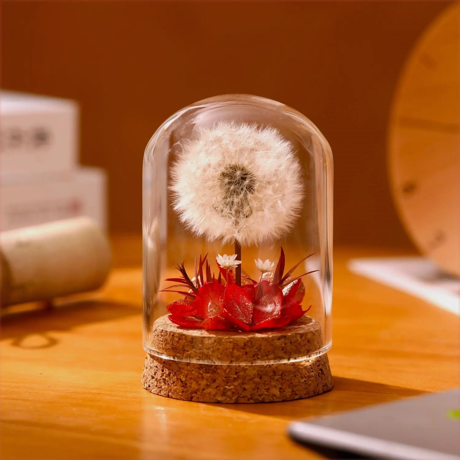 Yongsheng Dandelion Glass Cover Night Light Ornaments