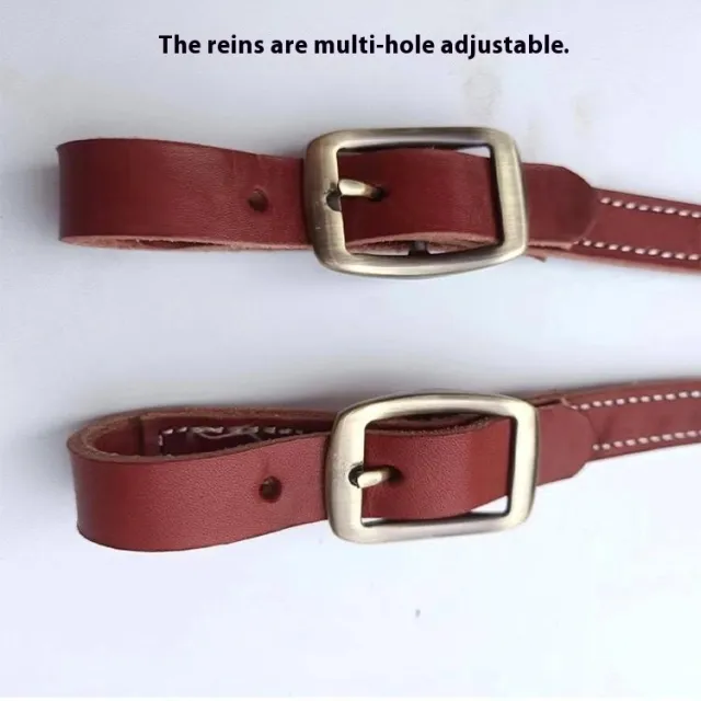Horse Halter Pure Cowhide Equipment Dragon Cover Metal Buckle Elegant Reins Red - Shop at LoveMi
