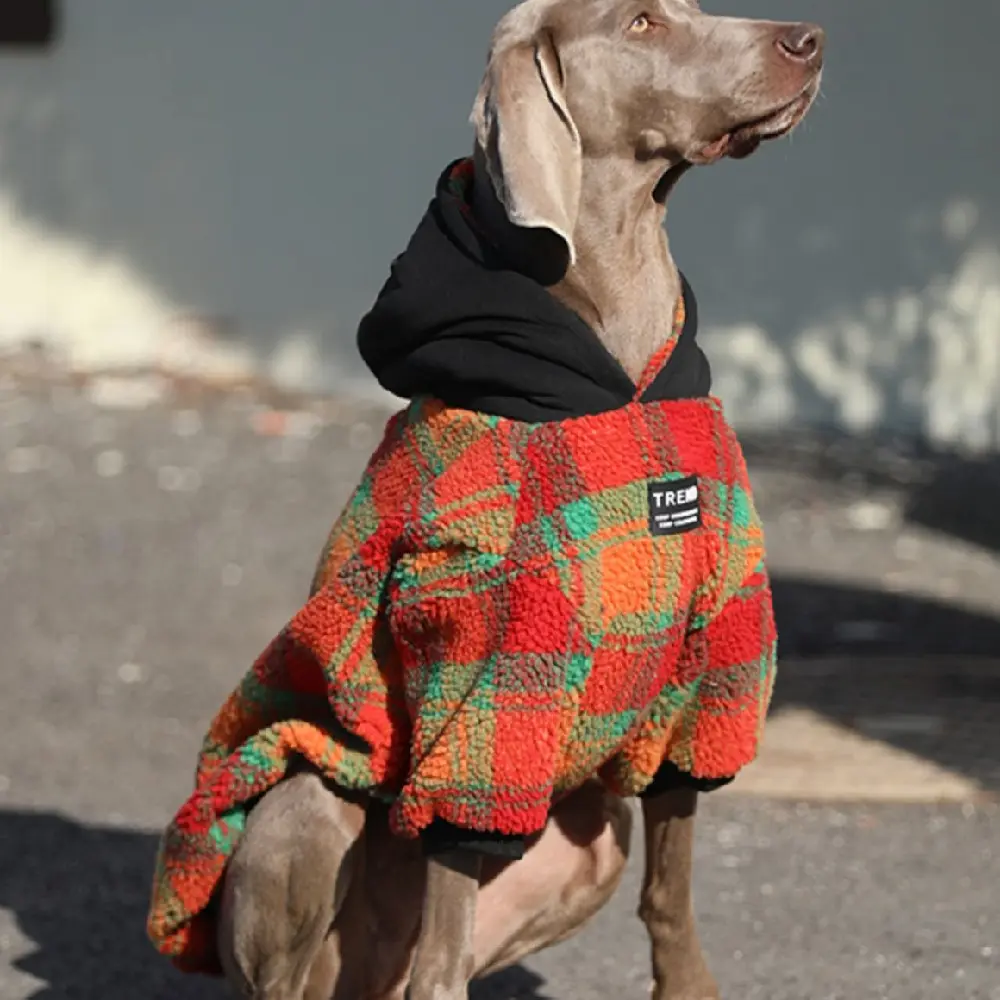 Thick and Warm Clothing for Large Dogs