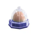 Cat Sugar Blue Base 12G