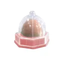 Cat Candy Pink Base 12G