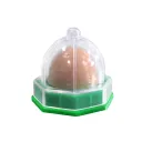 Cat Sugar Green Base 12G