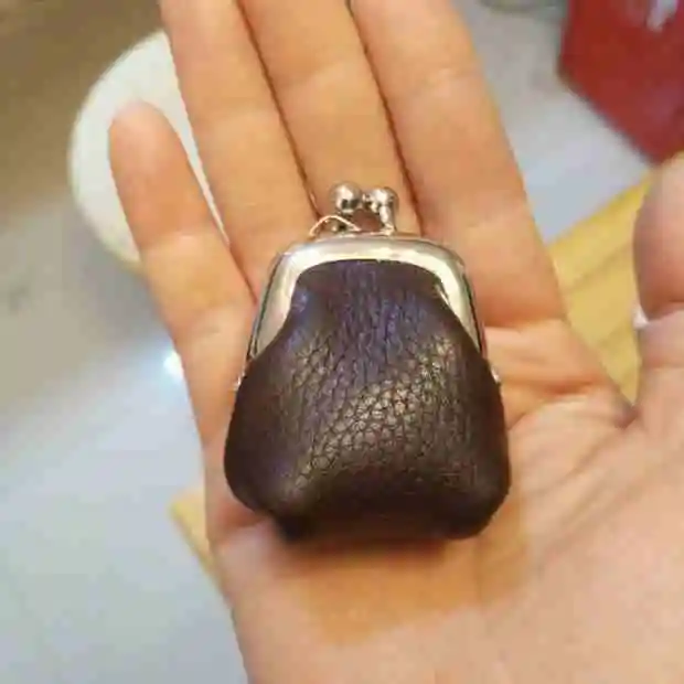 Hand held One shoulder Chain Decoration Dumpling Clip Coin Purse Silver - Shop at LoveMi
