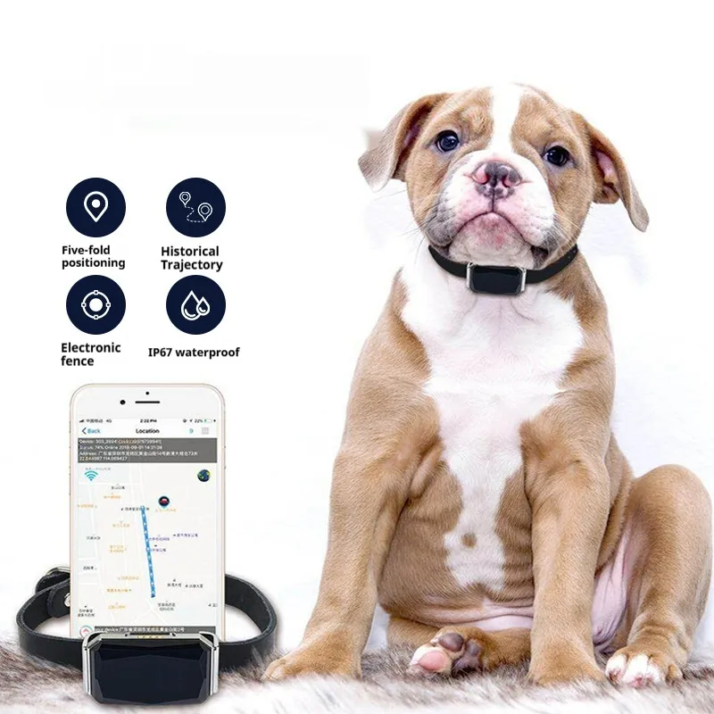 G12 Pet Navigator Locator Smart Wear GPS Cat Dog Anti-lost Tracking Tracking - Style A