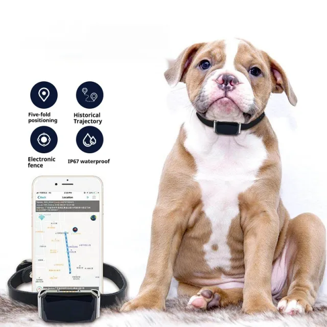 G12 Pet Navigator Locator Smart Wear GPS Cat Dog Anti lost Tracking Tracking Style A - Shop at LoveMi
