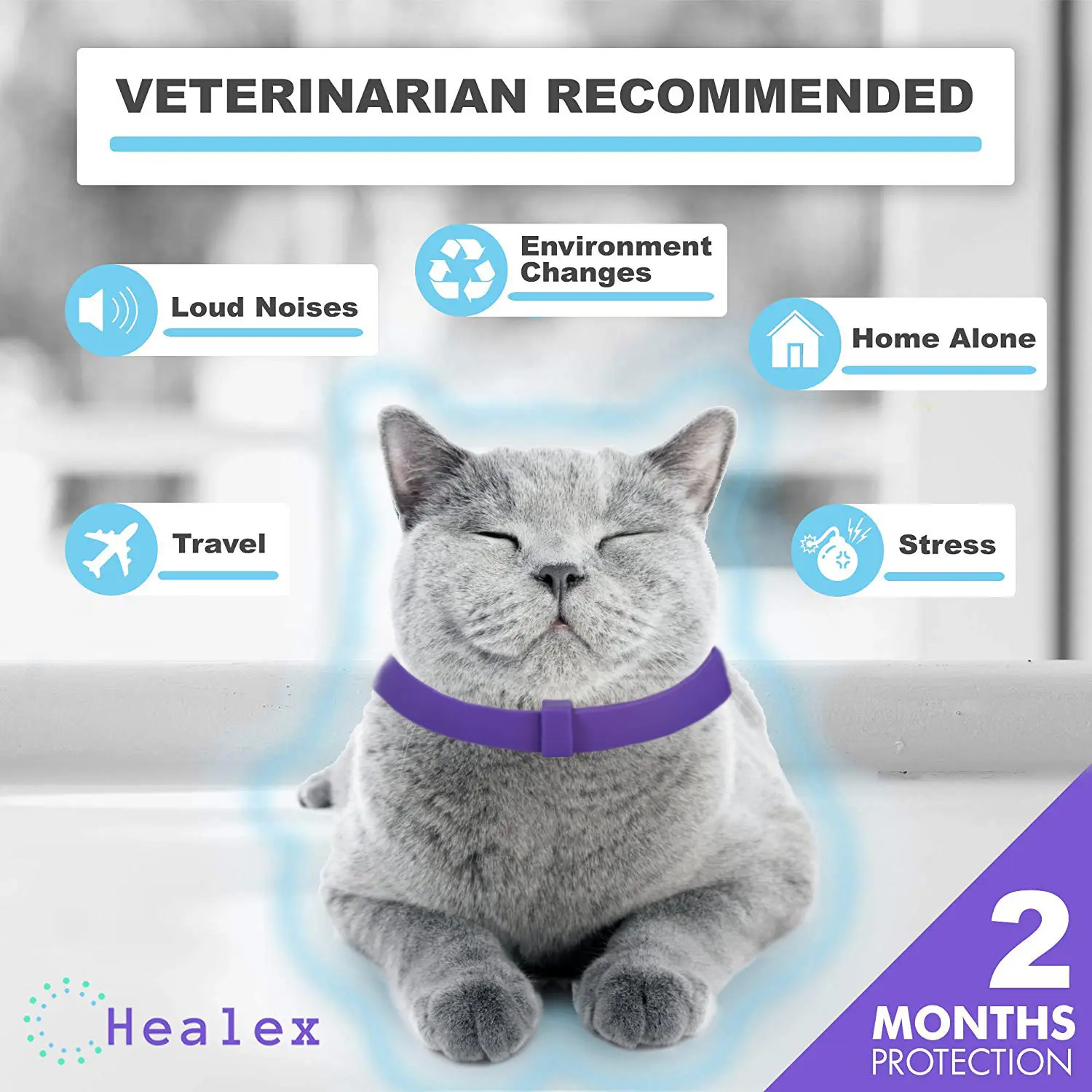 Pet Calm Collar Cat Comfort Relieve Anxiety