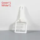 White And Green