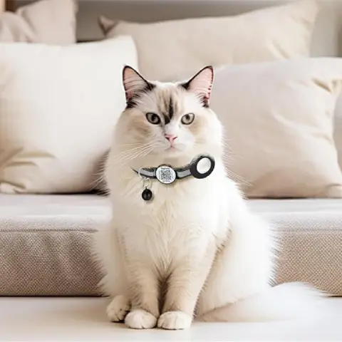 QR Code Collar Positioning Anti-lost Tracking Pet