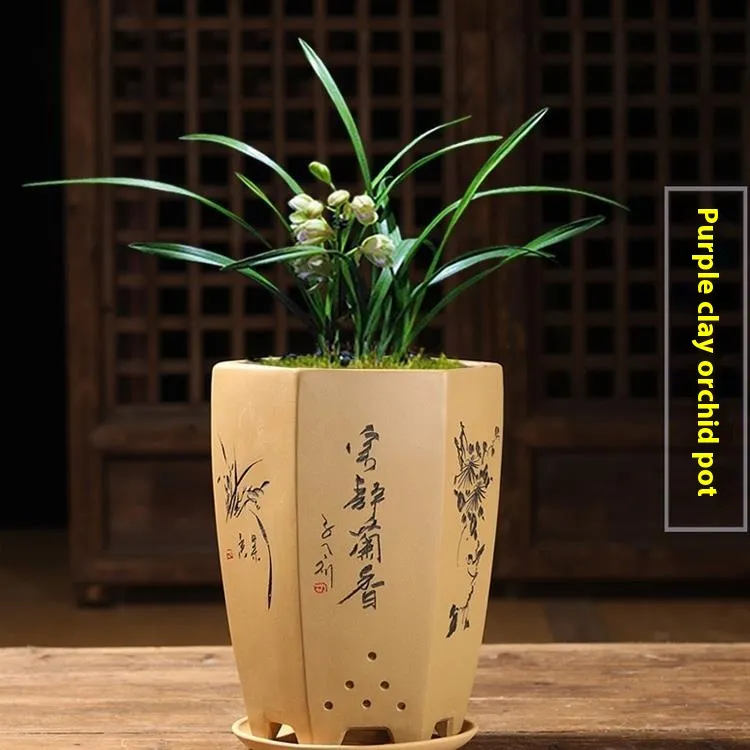 Purple Sand Orchid Pots With Tray
