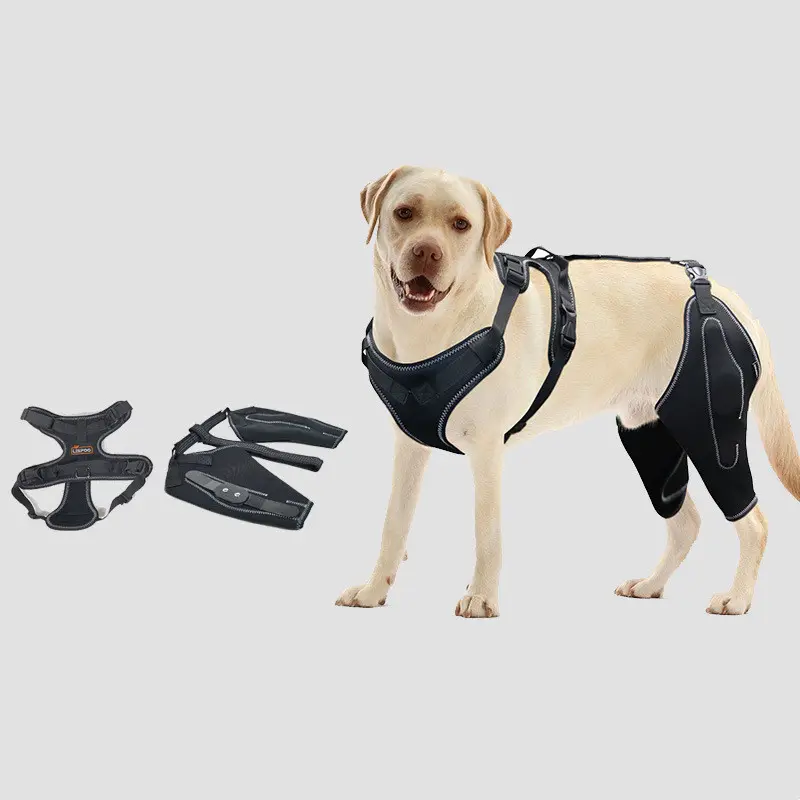 Acl Knee Pad Hip Dysplasia Joint Pain Relief Protective