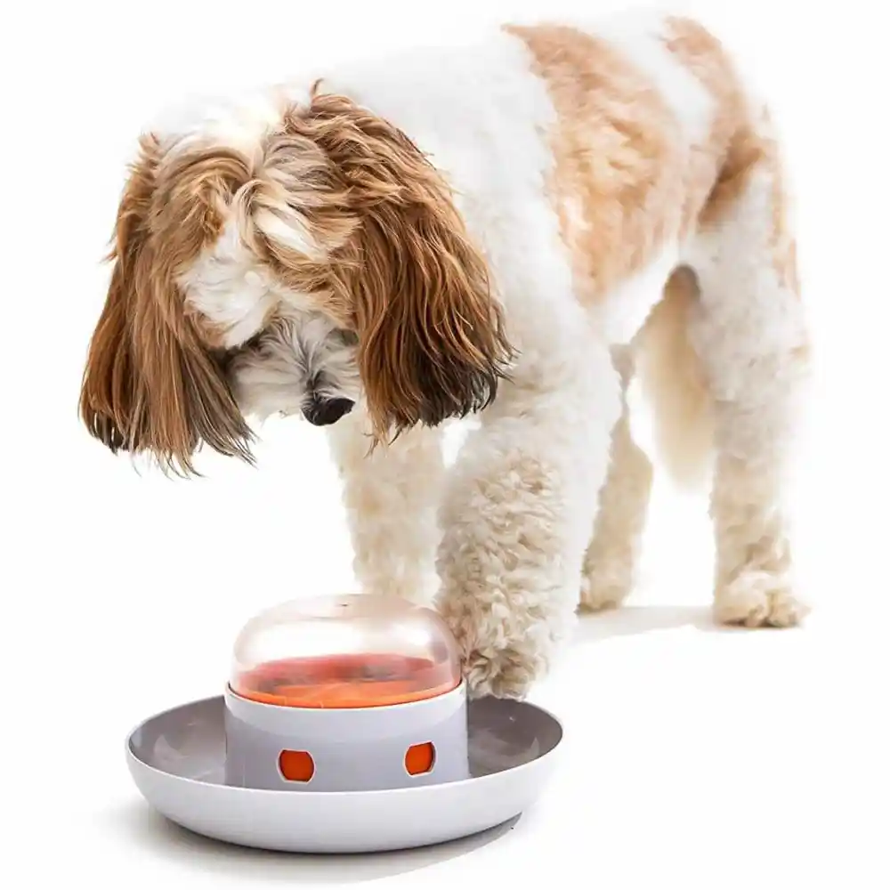 Dog Press Leakage Food Feeder Automatic Pet