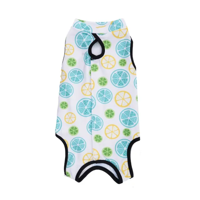 Cat Sterilization Clothing Post operation Printing Series Four Seasons Sterilization Velcro 04 - Shop at LoveMi