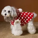 Red Polka Dot