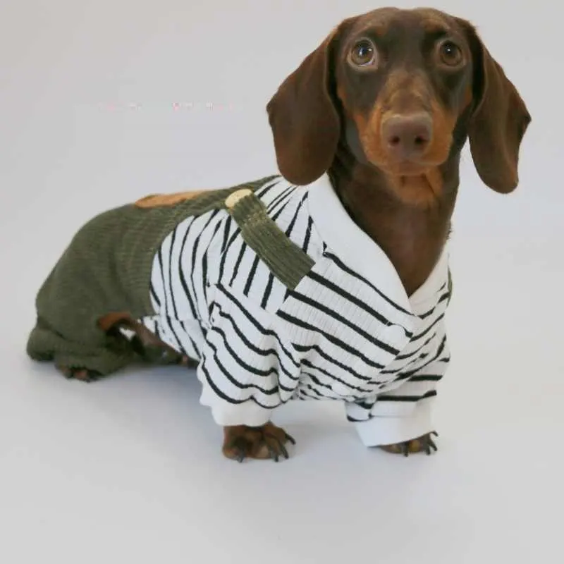Fake Two Thin Corduroy Four-foot Pants Teddy Sausage Schnauzer