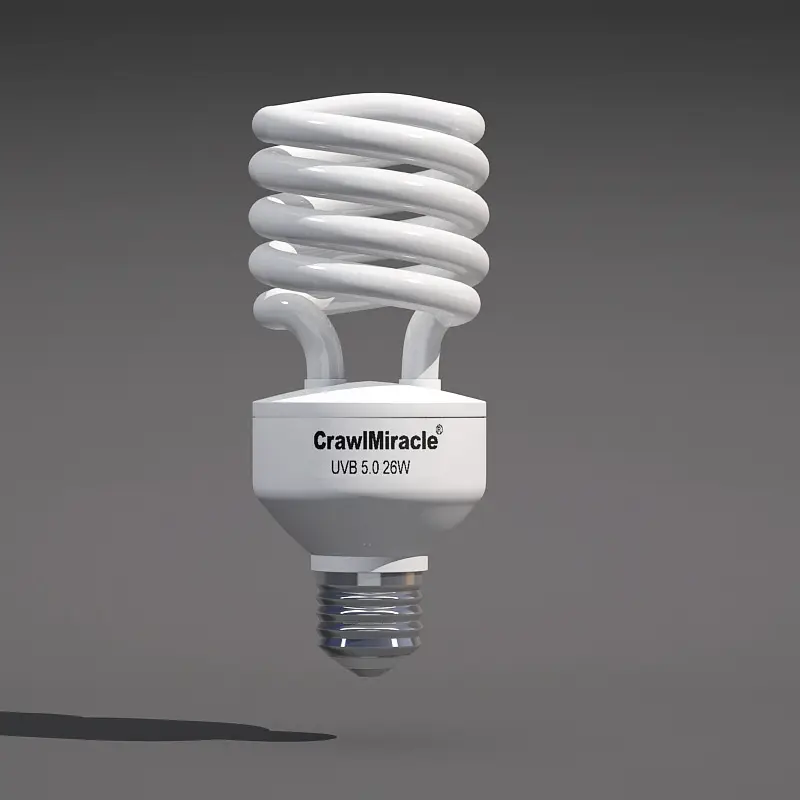 Crawler Lamp Days And Night Light Energy Saving