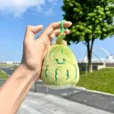 Balsam Pear