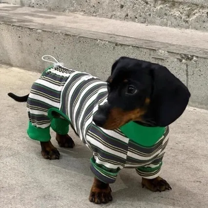 Winter Autumn And Winter Vest Warm Pet Dog Clothes Striped Clothes - Shop at LoveMi
