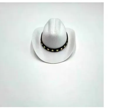 Fashion Cat Five-pointed Star Pet Cowboy Hat - White