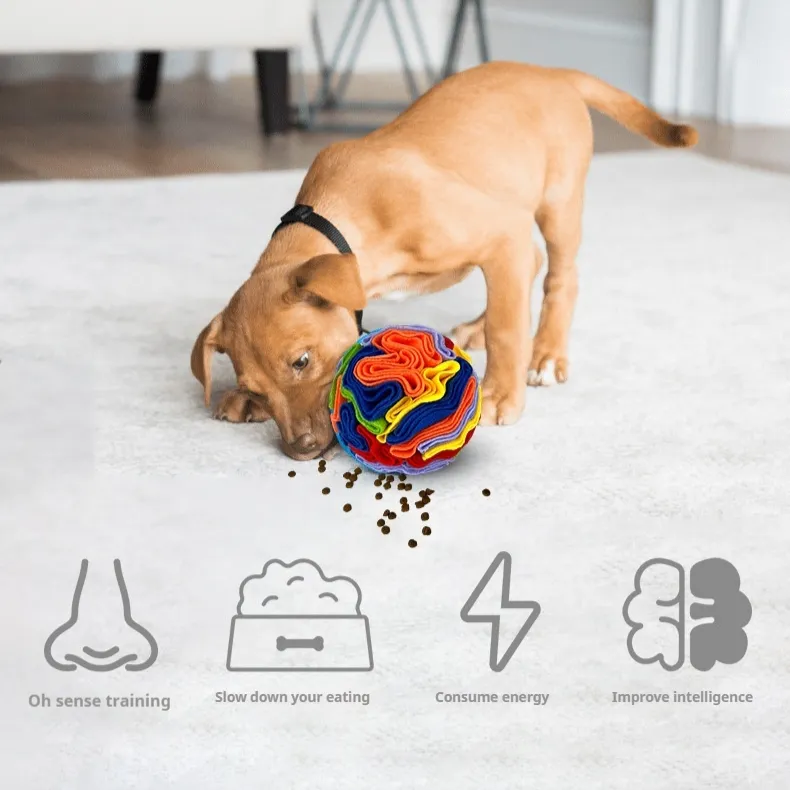 Pet Sniffing Toy Ball Molars Colorful Training