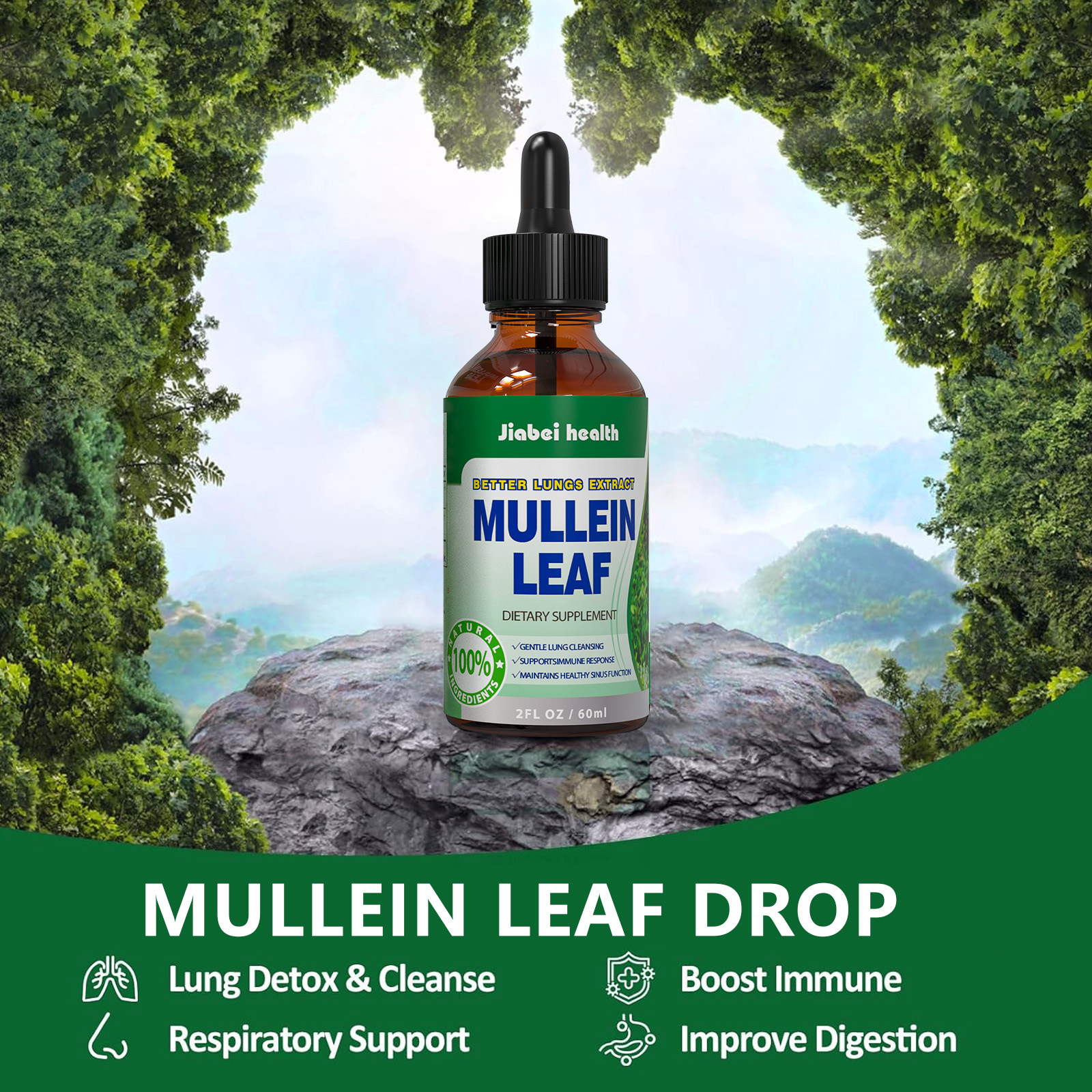 跨境热销叶绿素滴剂GMP工厂mullein Leaf Liquid d