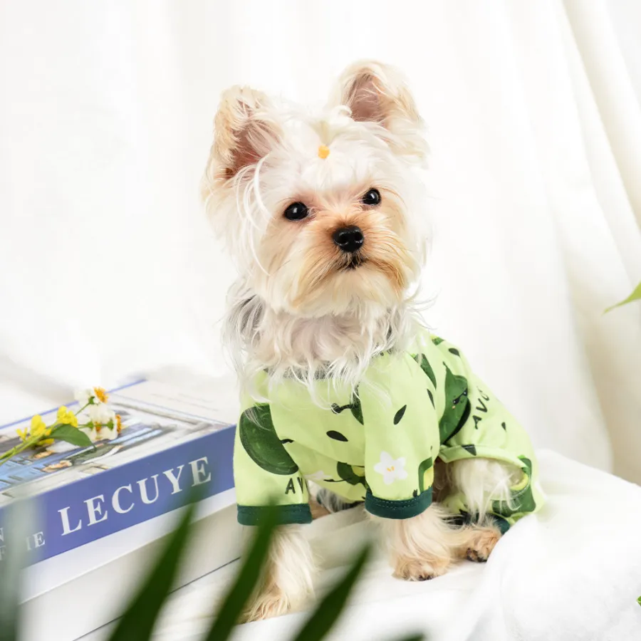 Pet Clothes Four Seasons Four-legged Clothing Pajamas
