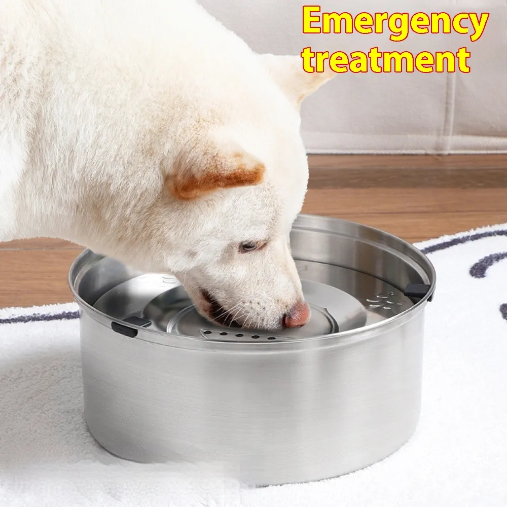 Dogs And Cats Supplies Drinking Water Large Capacity Bowl