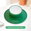 Green Silicone Ceramic Bowl