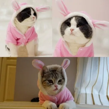 Pet Cat Clothes Mascotas Costume for Pet Hoodies Cute