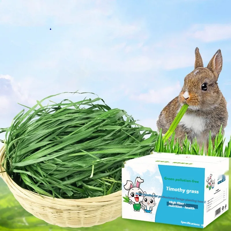 Dried Timothy FCL Hay Snacks Feed Chinchilla Guinea Pig Food