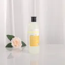 Brush Cleaning Liquid 500Ml