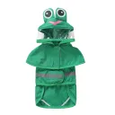 Yy47 Frog