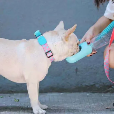 Half P Explosion-proof Collar Pet Traction Neckband