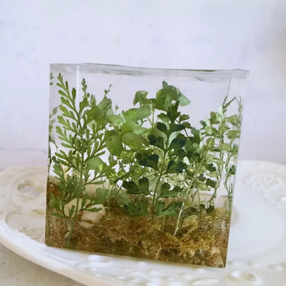 Grass Cube Green Full Of Abundant Plants