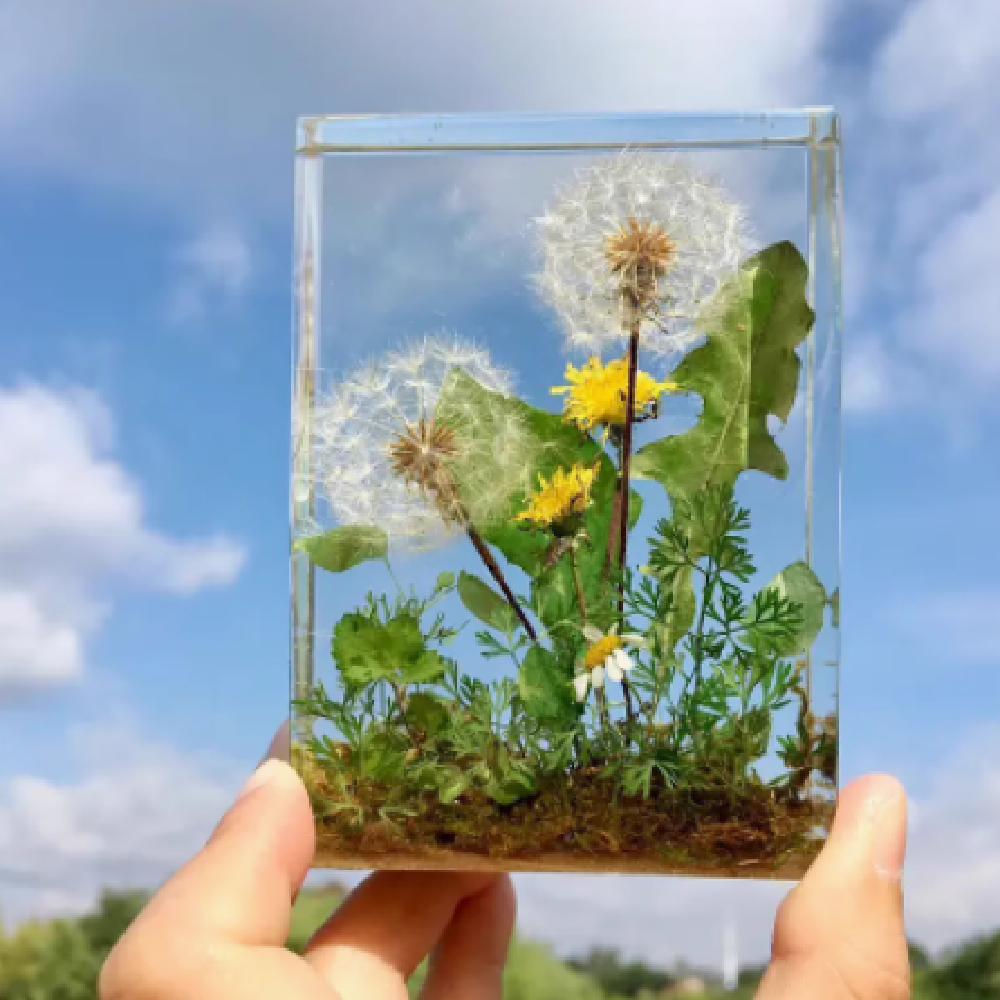 Dandelion rectangular paperweight dropper ornament