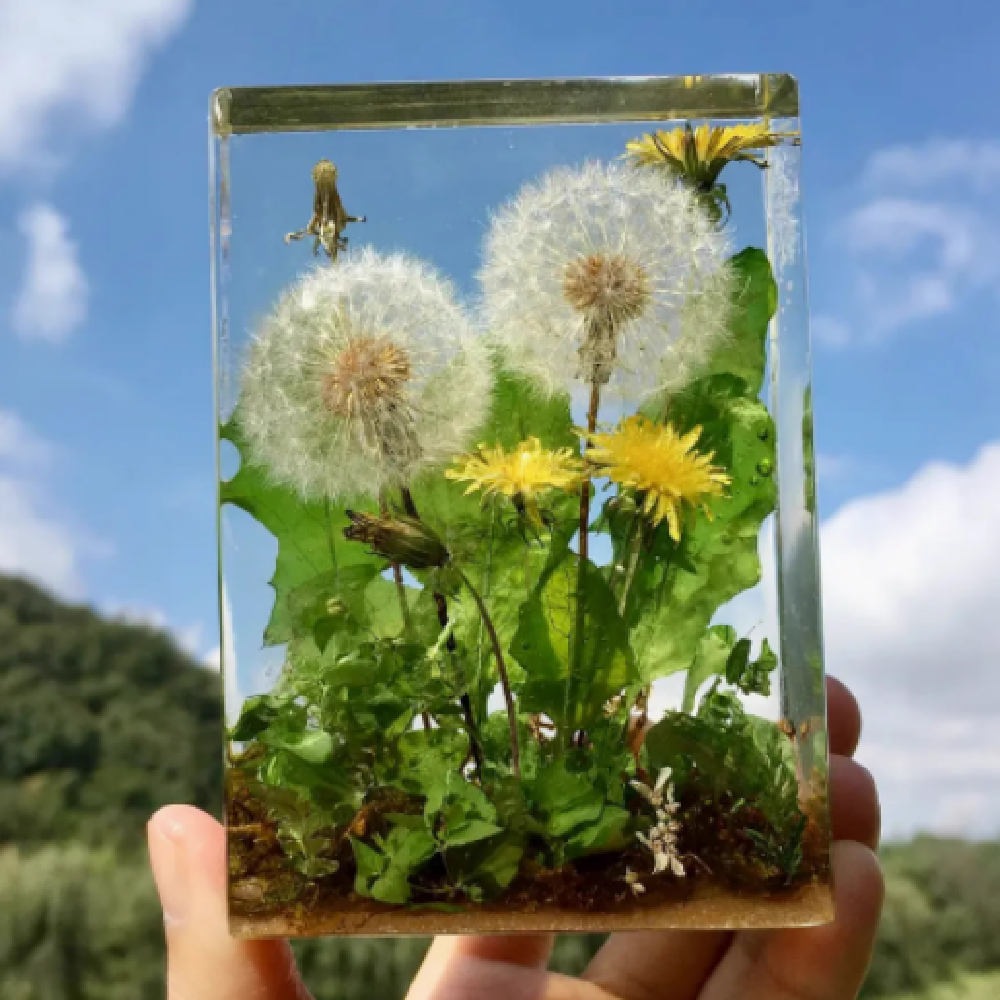 Dandelion rectangular paperweight dropper ornament