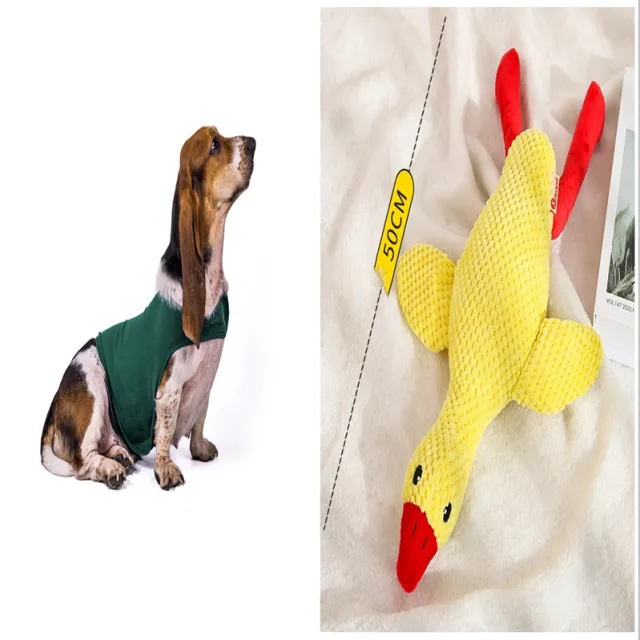 Anxiety Jacket Vest Summer Medical Treatment To Calm Down Cat Clothes Dog Comfort Clothes Lake Green Set - Shop at LoveMi