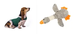 Anxiety Jacket Vest Summer Medical Treatment To Calm Down Cat Clothes Dog Comfort Clothes - Lake Green Set2 - View 1