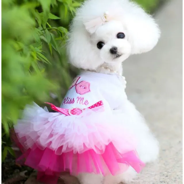 Pet Dog Skirt Pet Supplies Peach Blossom Skirt Cotton Lips Skirt Pink - Shop at LoveMi
