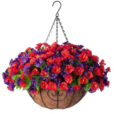 Iron Frame Violet Decoration Spring Gardening Round Chlorophytum Hanging Basket 82 Style - Shop at LoveMi