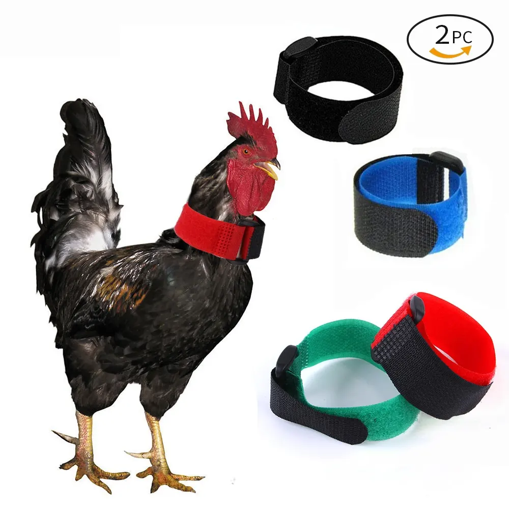Pet Chicken Collar 2-pack Anti-cock Ringing No Hook Knot