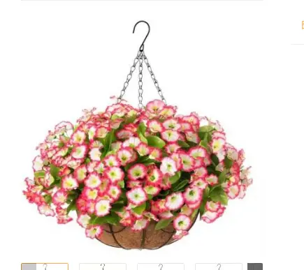 Iron Frame Violet Decoration Spring Gardening Round Chlorophytum Hanging Basket