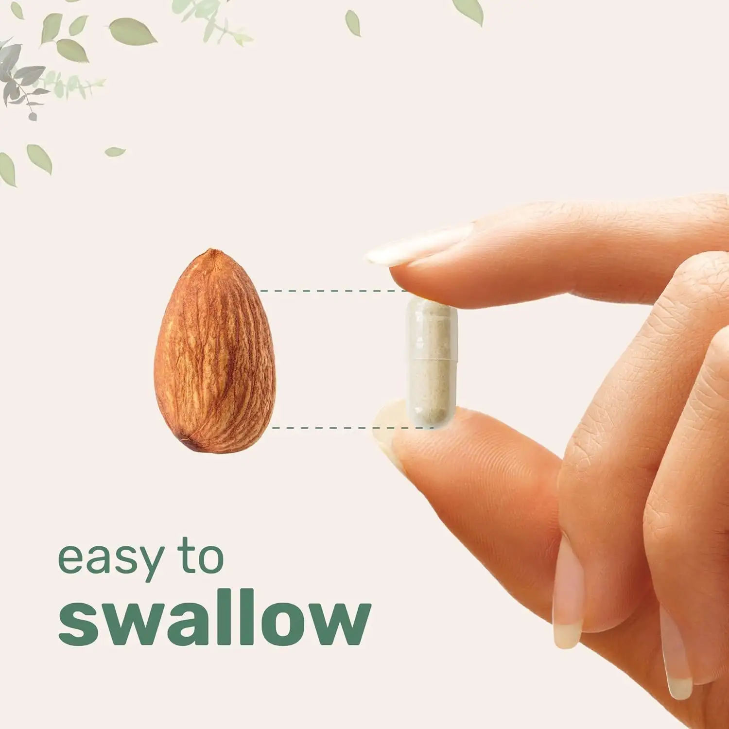 Lion Mane Capsule Refined Sulfur Phosphorus