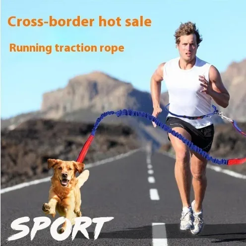 Fast selling new factory fitness belt, nylon