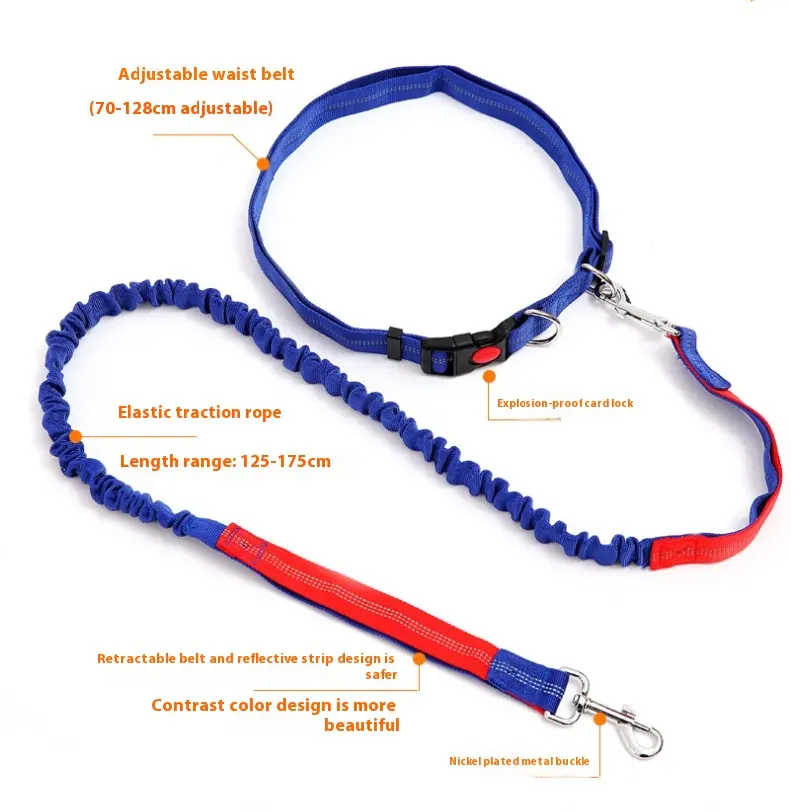 Fast selling new factory fitness belt, nylon