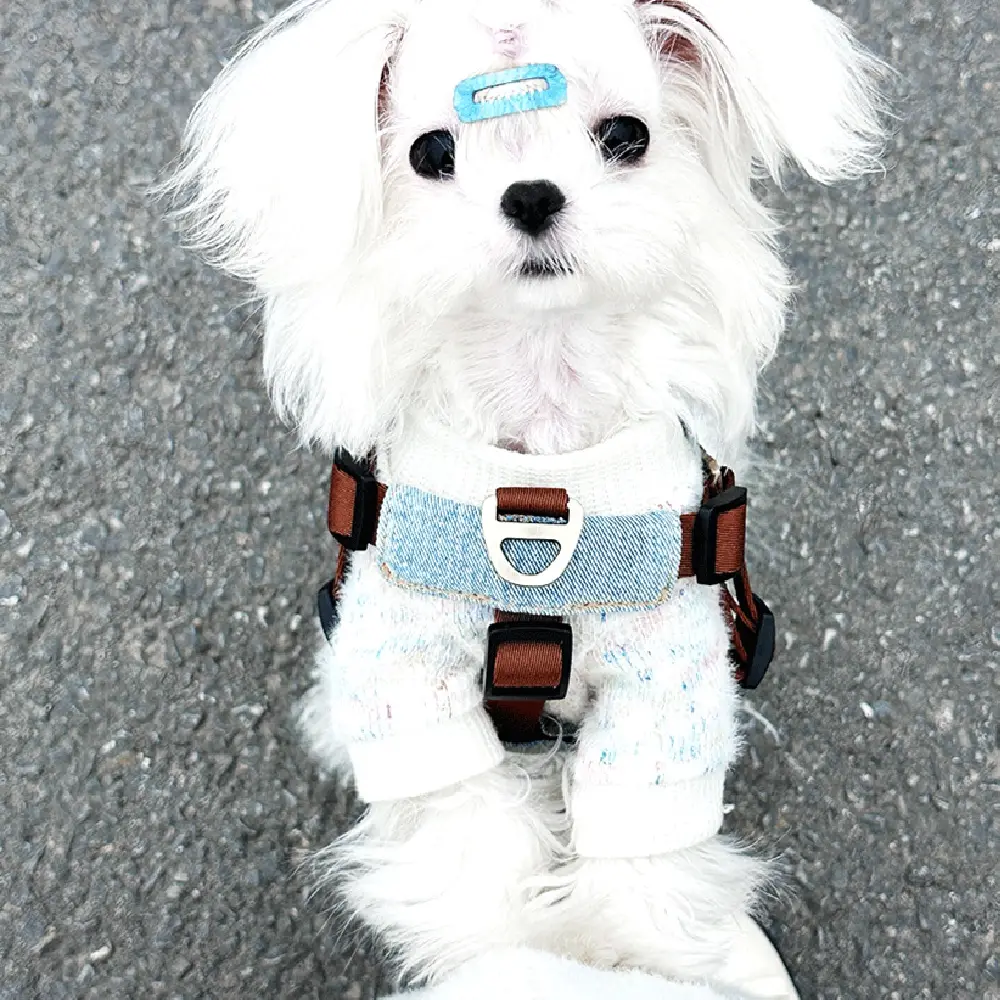 Dog Leash Vest Style Pet Chest Harness For Small And Medium-sized Dogs