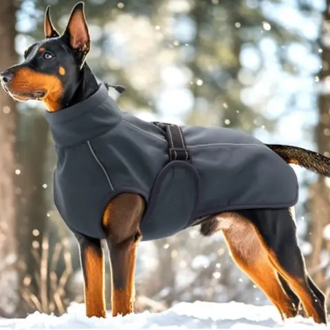 Teddy Autumn and Winter Clothing Vest Thick Coat